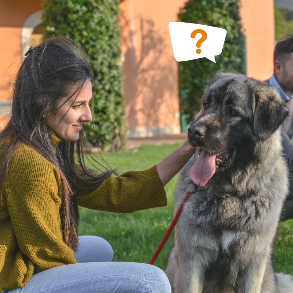 Cosa facciamo trentino pet food